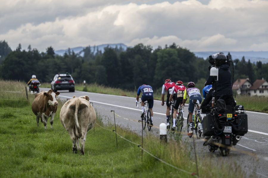 Tour de Suisse