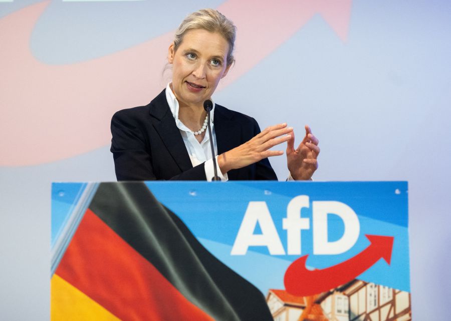 Mehrere lokale Verbände der Partei mit Alice Weidel an der Spitze werden als rechtsextrem eingestuft.