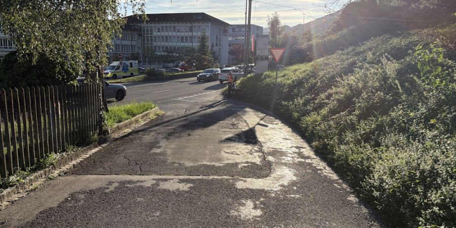 Heerbrugg SG