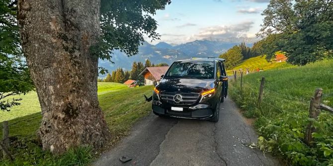 Unfall Baum