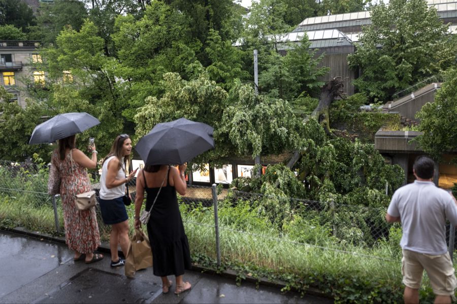 Wetter Gewitter