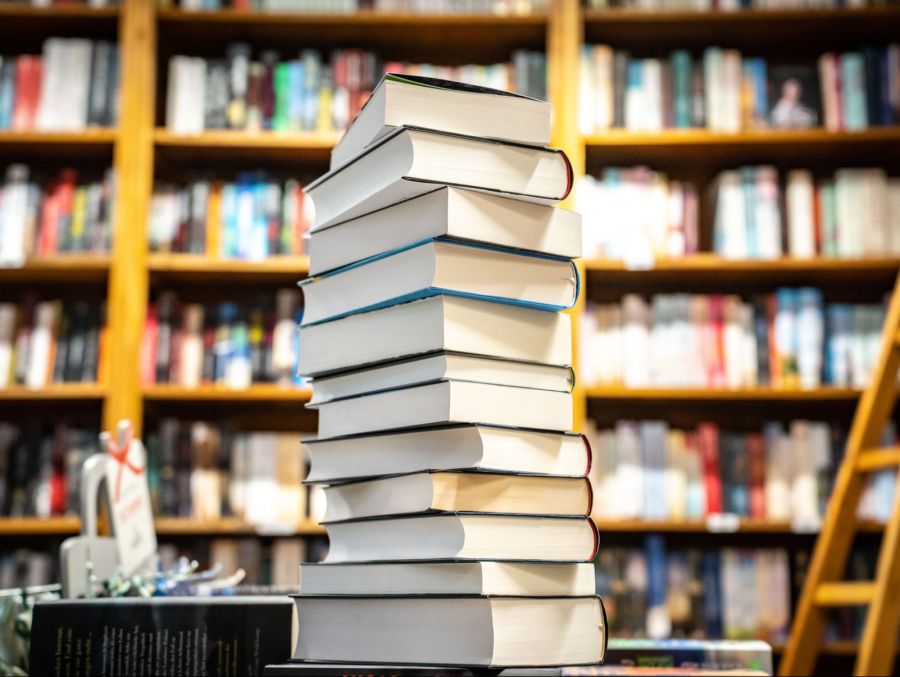 Sinnvoller fände Daniel Frischknecht etwa Vergünstigungen für Fachliteratur.