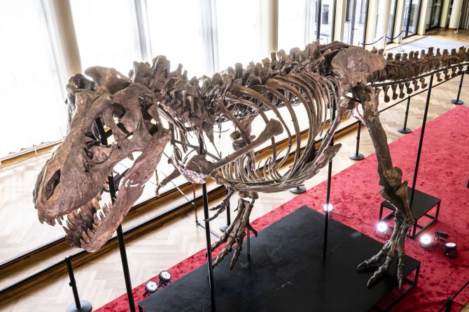 Dinosaurier