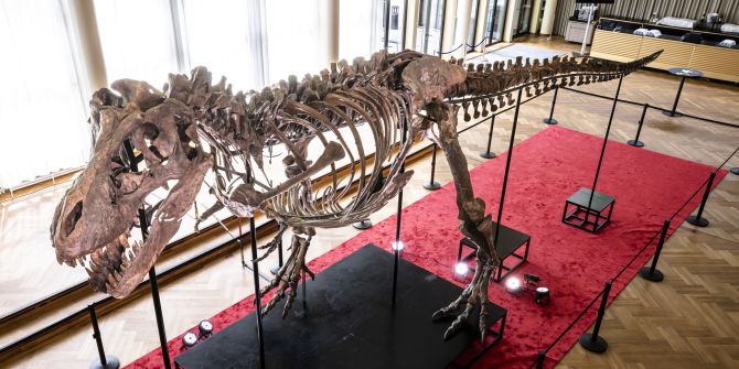Dinosaurier