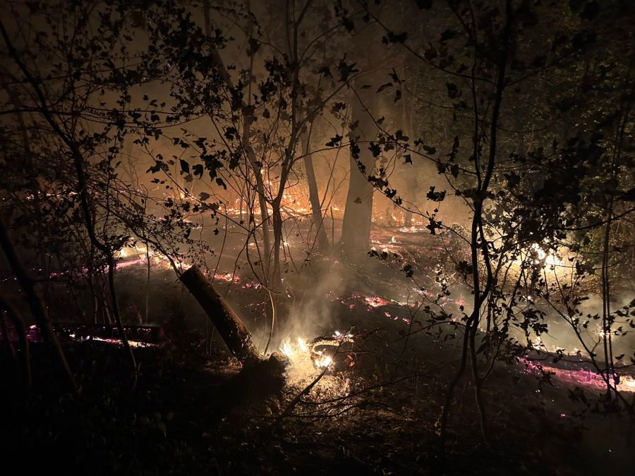 Die Feuerwehr Chestenberg machte diese Fotos vom Waldbrand in Möriken AG.