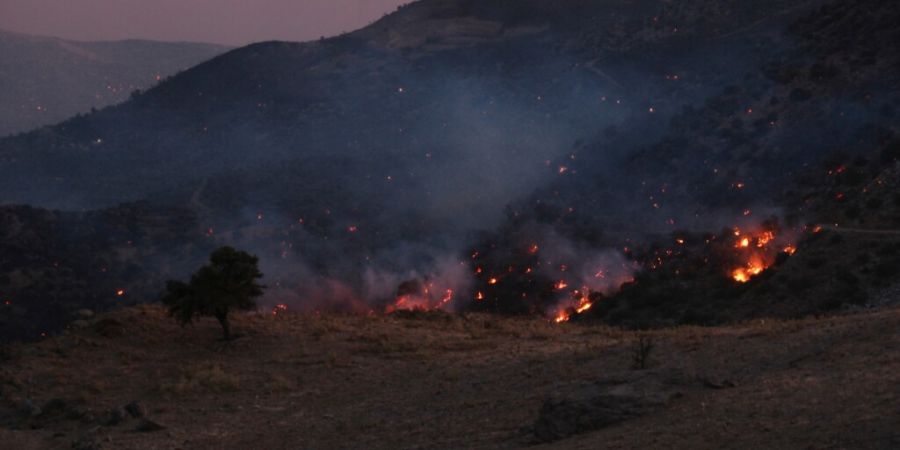 Ein Waldbrand wütet in der Region Rethymno auf der südgriechischen Insel Kreta. Foto: Giannis Angelakis/AP/dpa