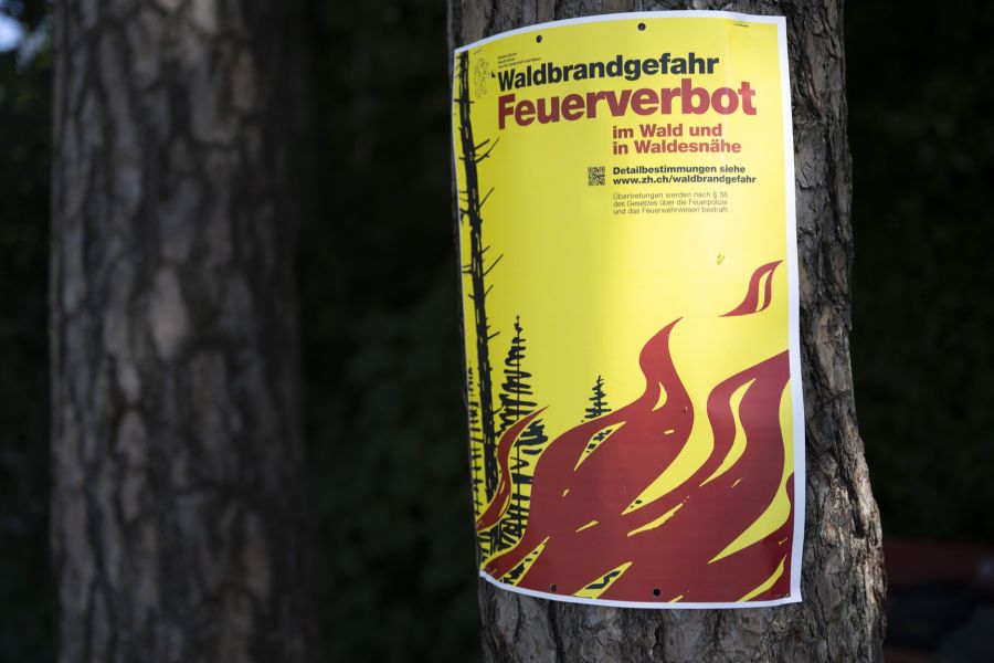 In anderen Kantonen, darunter Bern, Zürich oder Luzern, gilt ein Feuerverbot im Wald und in Waldesnähe.