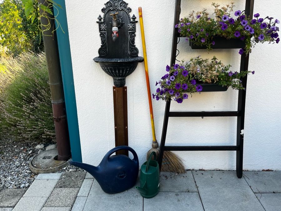 Mücken finden immer einen Ort, wo sie ihre Eier ablegen können. Strassenschächte, Spritzkannen oder Vogelbäder sind perfekte Mückenbrutstätten.