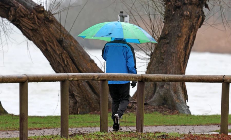 Regenschirm