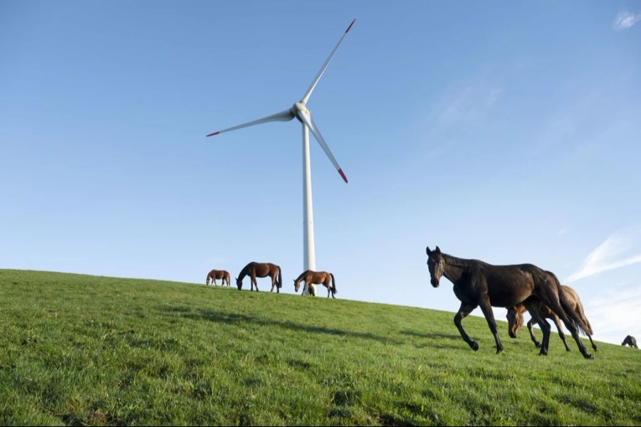 Insgesamt sechs Windräder sind für die Gemeinde geplant. (Symbolbild)