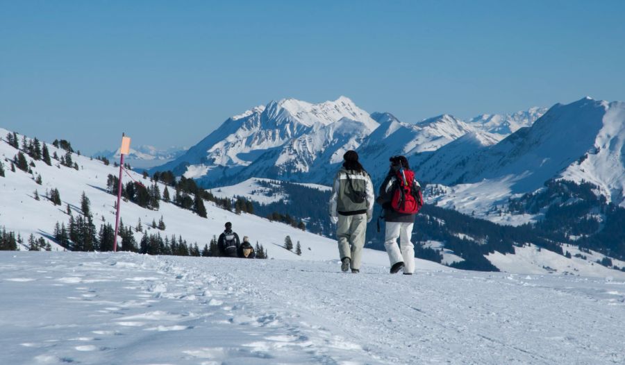 Niederhorn Winterwanderung Winter