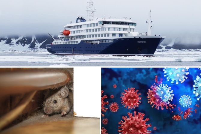 Hantavirus