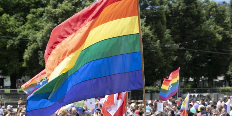 In diesem Jahr findet kein Festival rund um die Zürcher Pride-Demonstration statt. SP und Grüne fordern nun, dass die Stadt Veranstaltern entgegenkommt, damit trotzdem noch Partys sta...