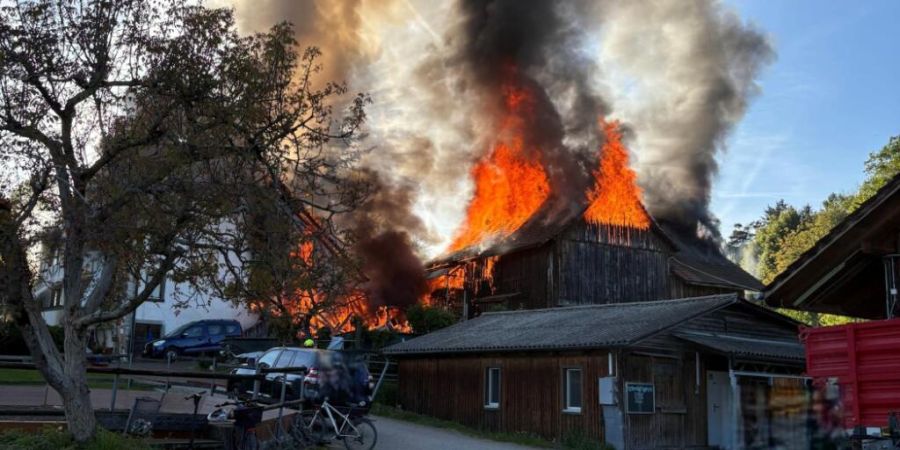 Beim Brand eines Reitstalls in Hombrechtikon ZH wurden zwei Personen schwer und acht Personen leicht verletzt. Tiere kamen keine zu Schaden.