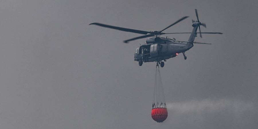 Waldbrand Polen