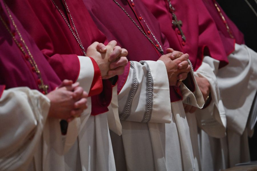 Bischöfe bleiben alleinige Entscheidungsträger, nationale Register oder Kontrollsysteme fehlen.