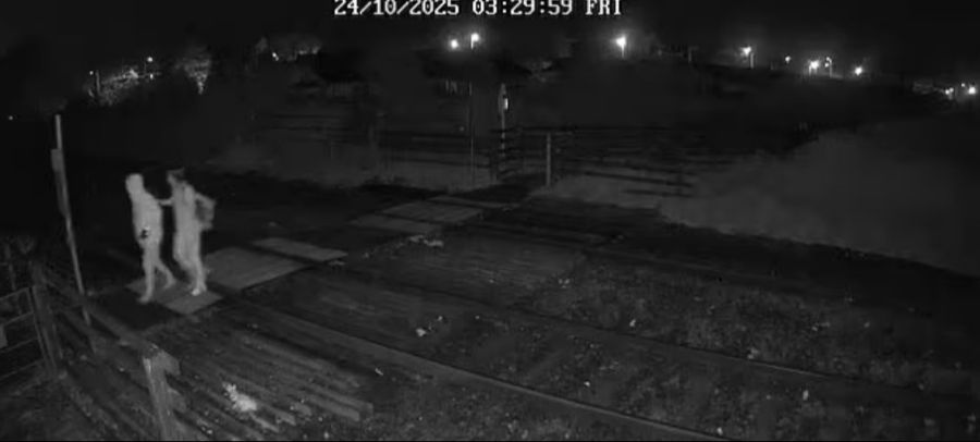 Überwachungskameras filmten Mutter und Sohn in der Tatnacht. Kurz darauf wurde Angela Shellis tot aufgefunden.