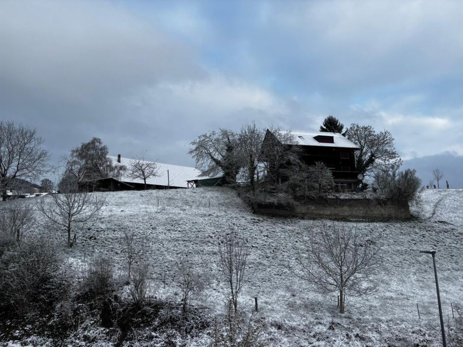 Auch in Kehrsatz BE hüllt sich alles in Weiss: Der Schnee bleibt liegen!
