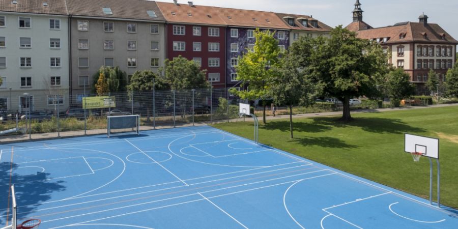 Die Vorfälle ereigneten sich bei der Dreirosenanlage in Basel. Nun muss sich der freigestellte Polizist vor dem Strafgericht verantworten. (Archivbild)