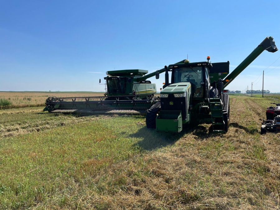 «Die Zollgeschichten und die Handelskriege drücken stark auf die Getreidepreise», sagt Martin Haab.