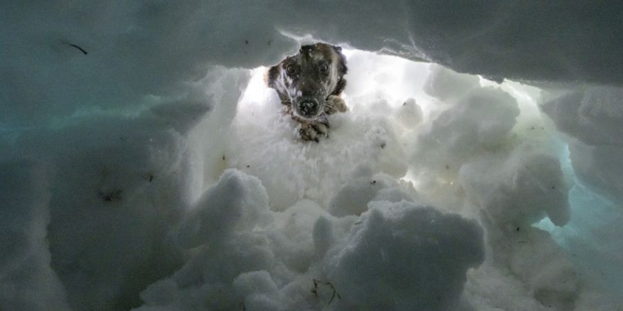 Lawinen erfassten in diesem Jahr besonders viele Personen. Die Zahl der Lawinentoten lag aber im Durchschnitt. (Symbolbild)