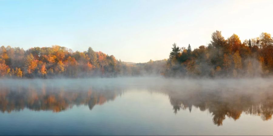 New England See Nebel Herbstbäume Waldpanorama