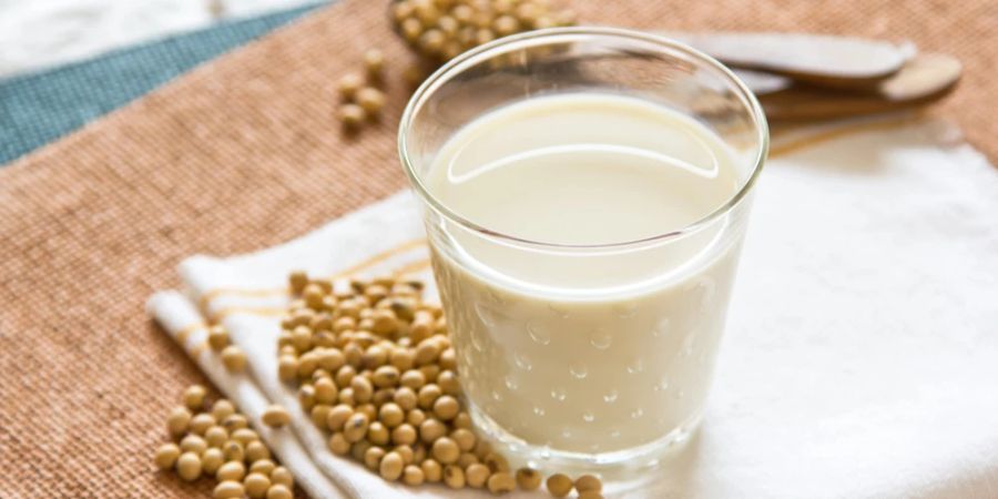 Milch Sojabohnen Sojadrink