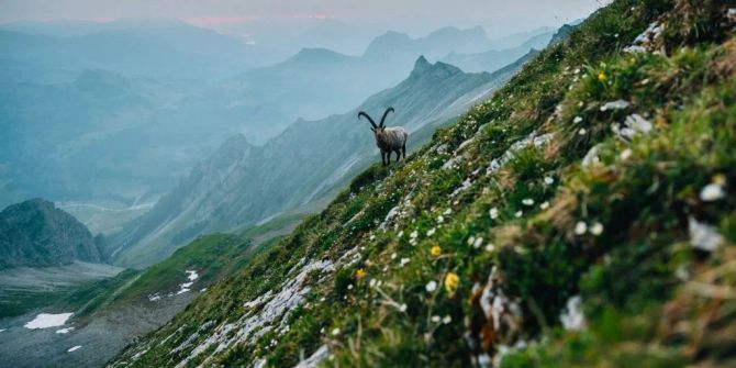 Entlebuch Saisonkarte Sommer