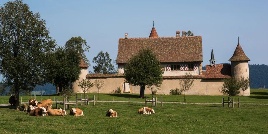 Das Château de Raymontpierre ist wunderschön in der Natur gelegen.