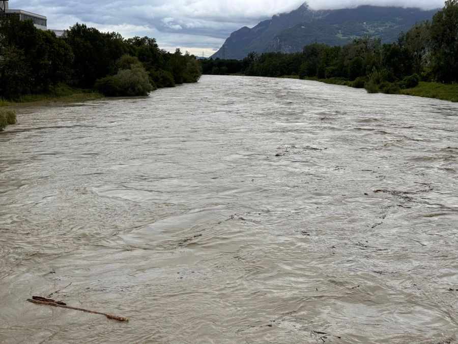 Viel Schwemmholz treibt in der Rhone.