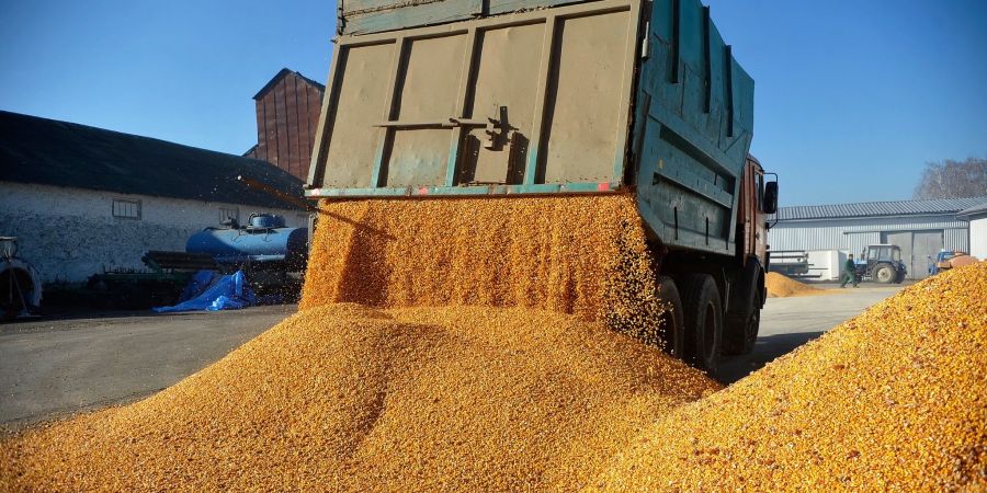 Agrarexporte der Ukraine haben für Unmut bei Bauern in der EU gesorgt. (Archivbild)