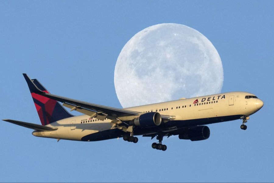 Flugzeug Tauben Verspätung Passagierraum