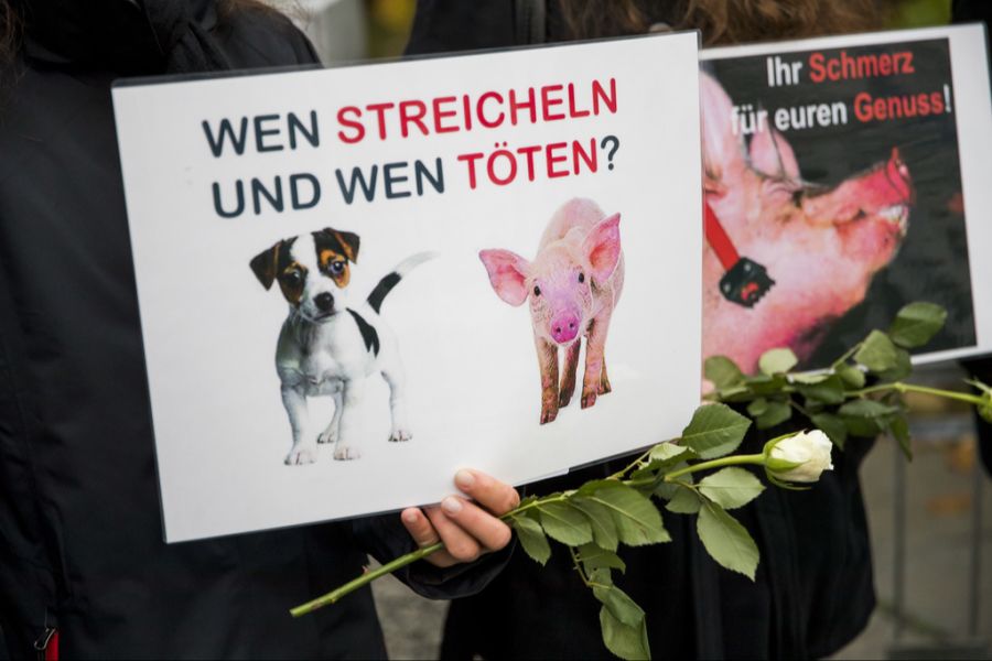 Gegen die Aktion gab es reichlich Protest. (Archivbild)