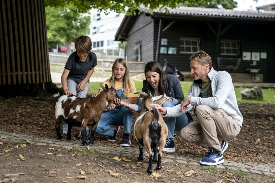 Von St-Imier erreichen Sie in nur 15 Minuten La Chaux-de-Fonds. Hier erwarten Sie im Muzoo ein tierisch gutes Abenteuer: Die innovative Einrichtung vereint den Tierpark «Bois du Petit Château» mit dem neu gestalteten naturhistorischen Museum. Besonders faszinierend: die Vivariumssammlung mit Reptilien und Amphibien aus allen fünf Kontinenten.