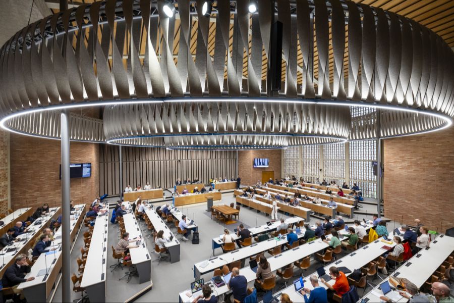 zürich gemeinderat