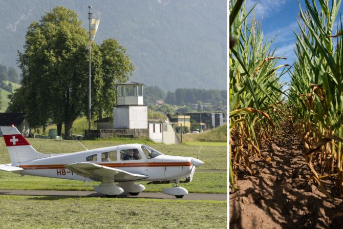 Kleinflugzeug und Maisfeld