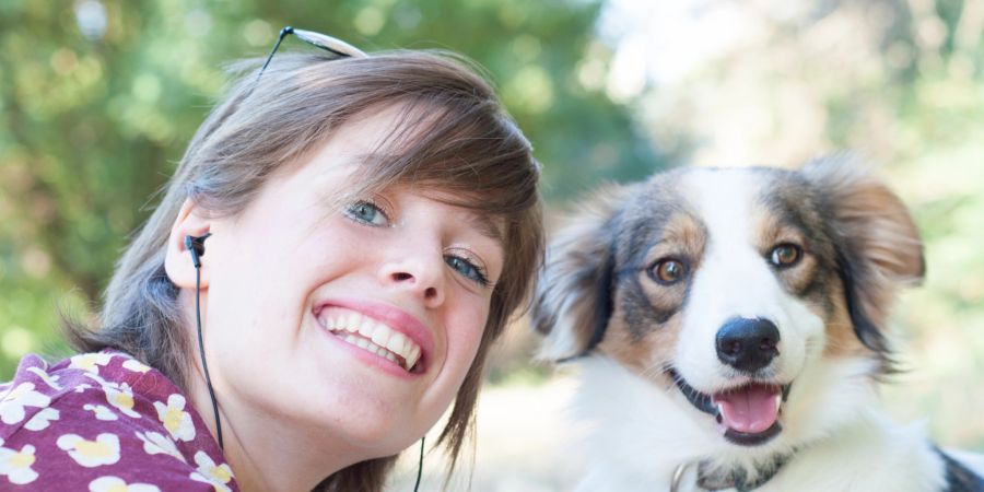 Haustiere positiver Effekt