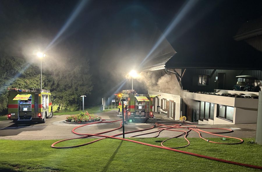 Brand Schönenberg