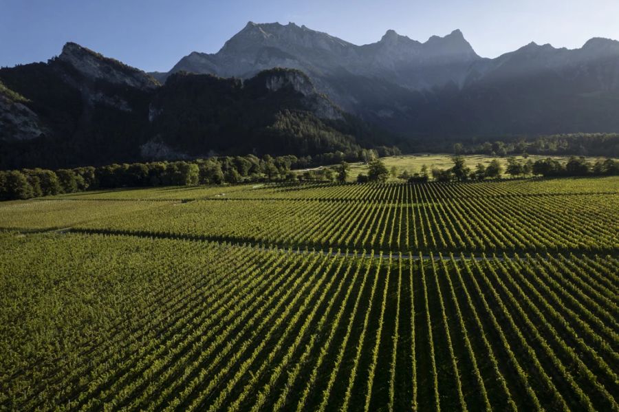 wein graubünden