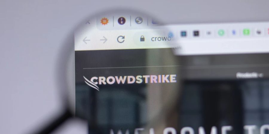 Lupe Webseite Crowdstrike