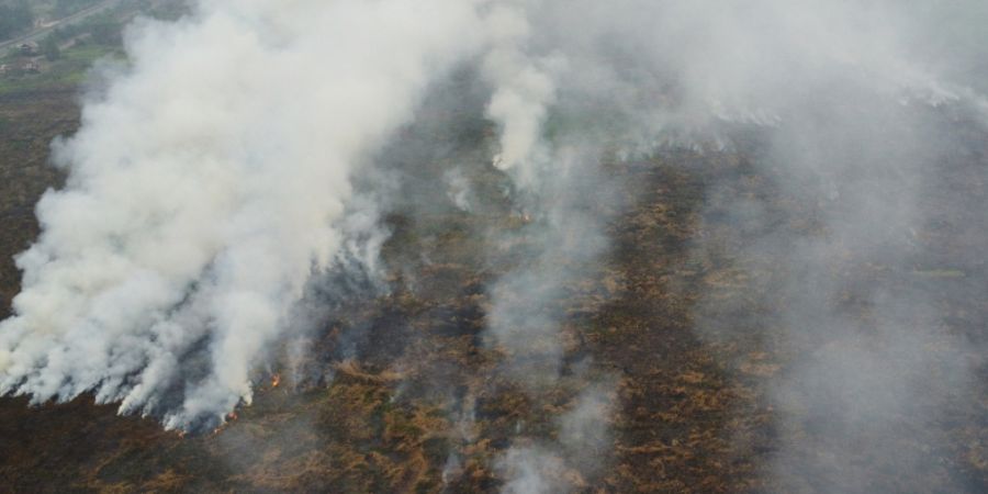 Rauch steigt aus Waldbränden auf, die ein Torfmoorgebiet in Ogan Ilir verwüsten. Foto: Muhammad Hatta/AP/dpa