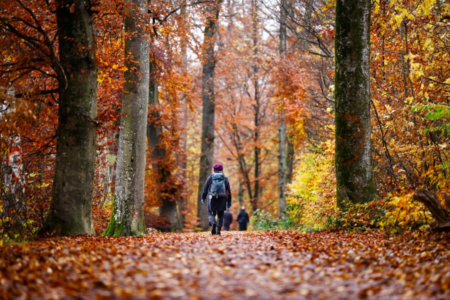Nächste Woche werden schon wieder Temperaturen bis 20 Grad erwartet – sehr warm für den Herbst.