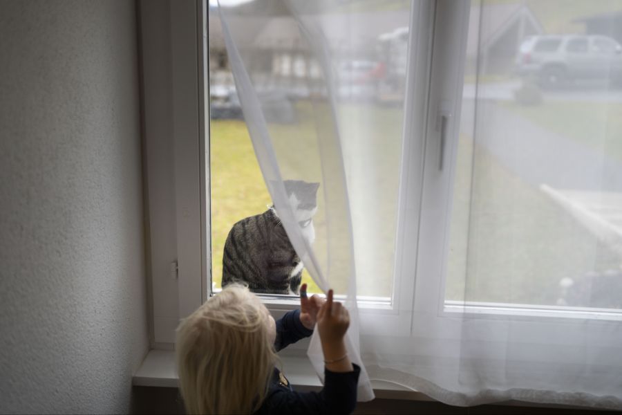 «Es würde auf jeden Fall helfen, wenn auch Haushalte ohne Katzen die Fenster im Erdgeschoss nicht gekippt halten.» Dies sagt Martina Monti, Mediensprecherin der Stiftung Tierrettung.