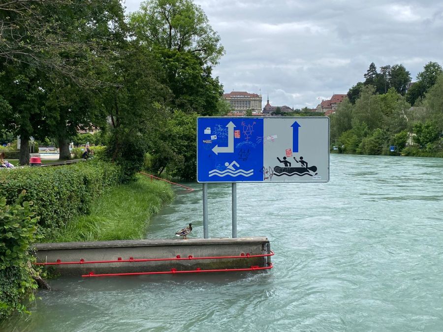 «Durch die erhöhte Fliessgeschwindigkeit hat man weniger Zeit, zu reagieren, wenn ein Hindernis im Fluss steht.»