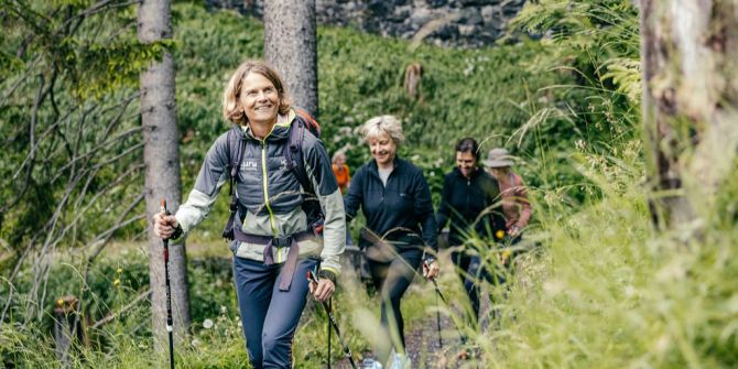 Wanderer im Wald