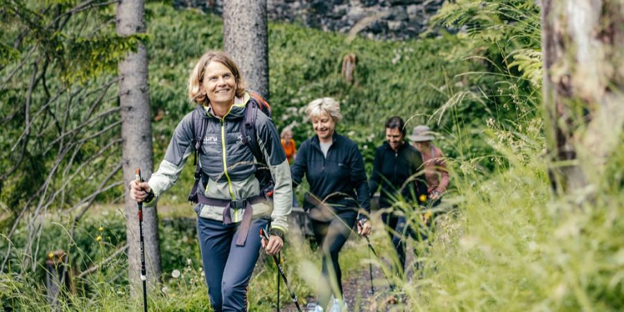 Wanderer im Wald