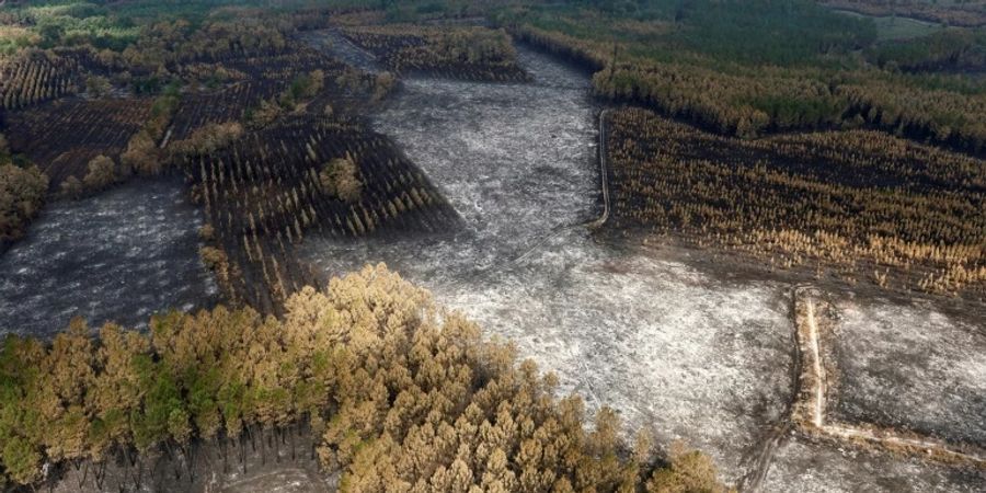 In der Gironde sind 20.000 Hektar Land verbrannt