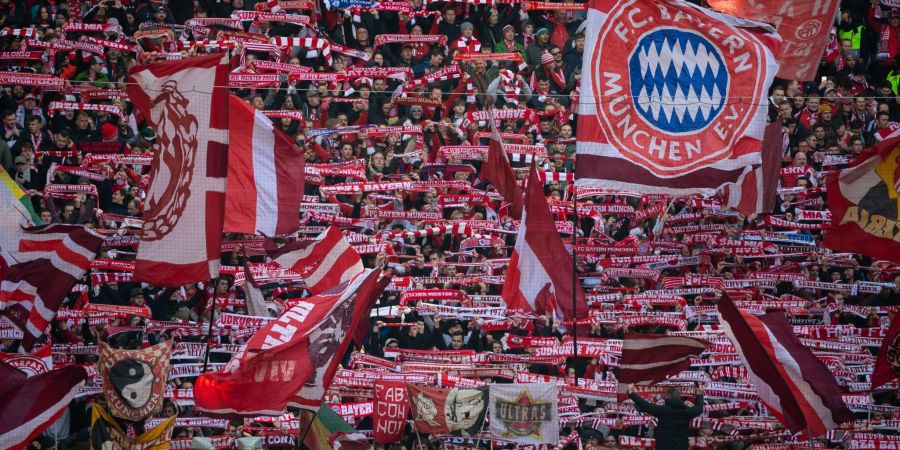 Die Fans des FC Bayern München können in der kommenden Saison eventuell Mathys Tel anfeuern.