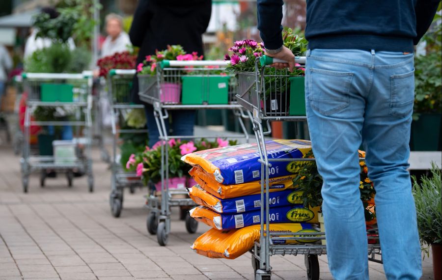 Garten Baumarkt Pflanzen Einkaufswagen Käufer