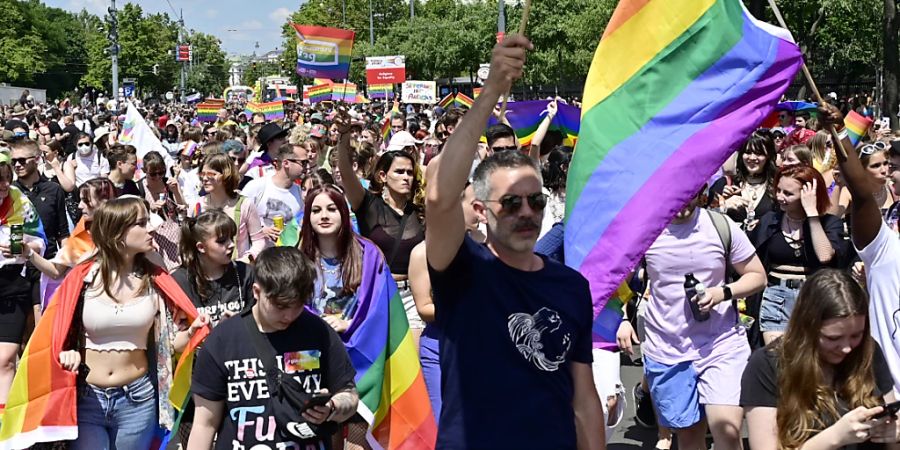 Menschen nehmen an der jährlichen Gay Pride Rainbow Parade teil. Foto: Hans Punz/APA/dpa